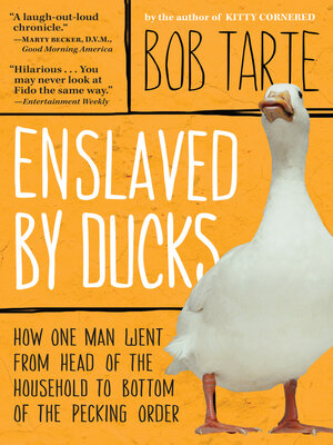 cover image of Enslaved by Ducks